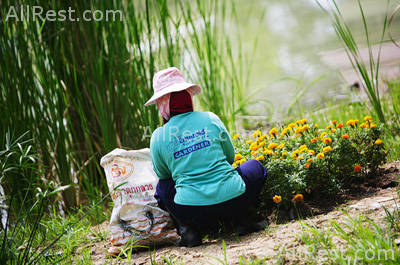 Khaolak Emerald Beach Resort & Spa 28